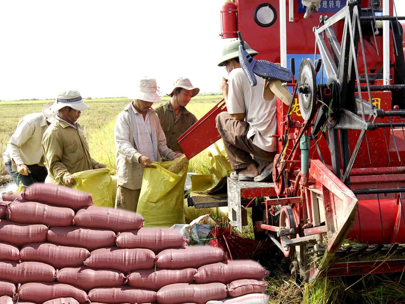 สหประชาชาติเรียกร้องให้ประเทศสมาชิกเพิ่มการลงทุนในด้านการเกษตรเพื่อลดความยากจน